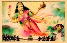 Churning out Lakshmi
