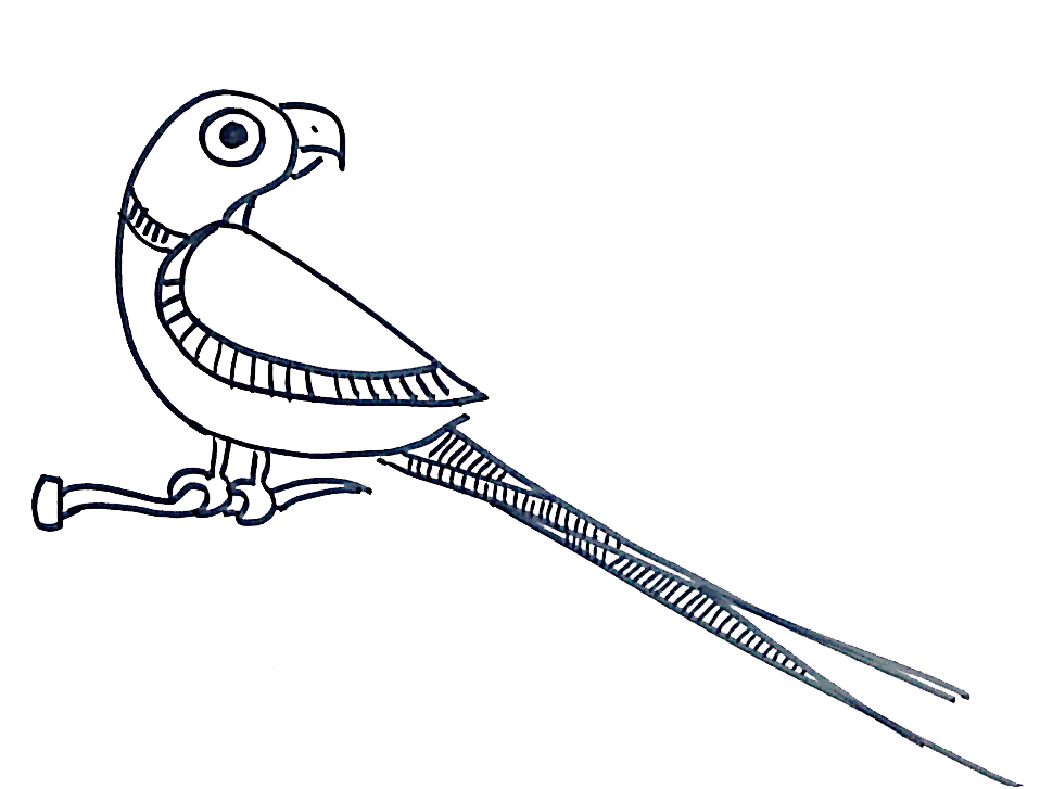 The Parrot’s Erotic Secret