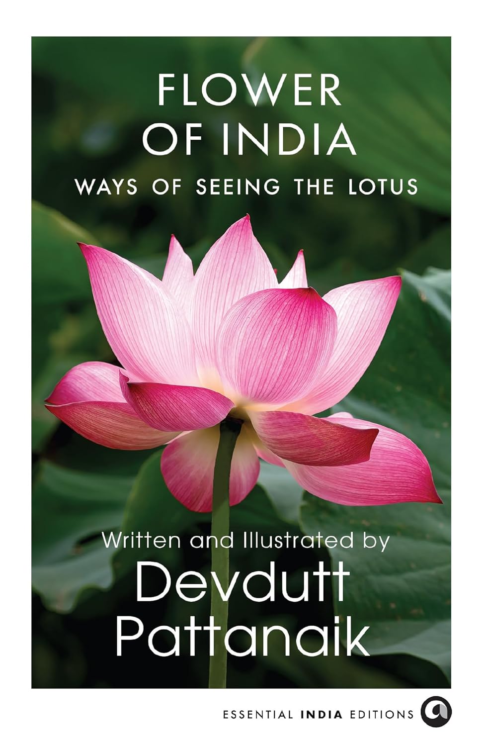 Flower of India: Ways of Seeing the Lotus